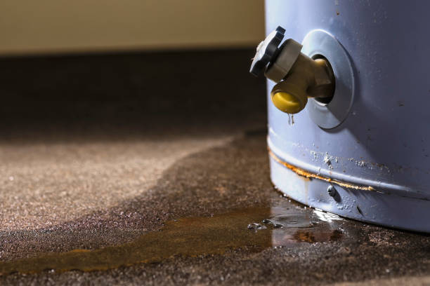 Best Fire Damage Restoration  in Hemet, CA