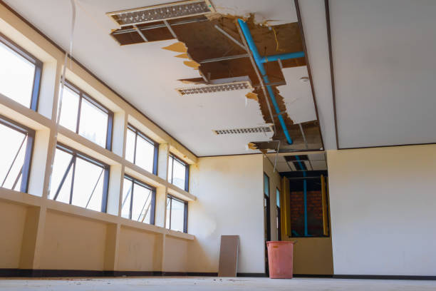 Best Local water damage restoration  in Hemet, CA