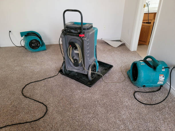 Best Professional water damage repair  in Hemet, CA