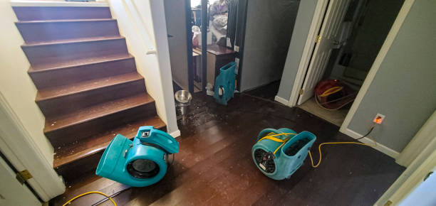 Best Water damage restoration near me  in Hemet, CA