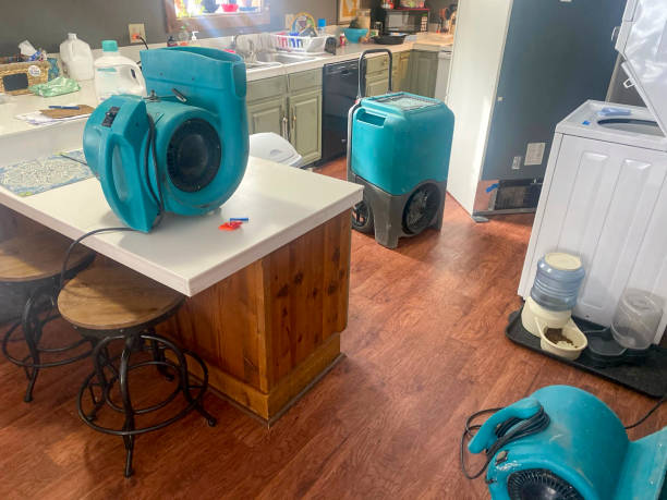 Best Water damage cleanup near me  in Hemet, CA