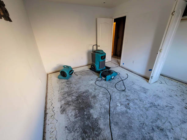 Best Carpet water damage restoration  in Hemet, CA