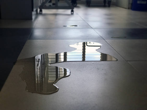 Water damage restoration insurance claims in CA