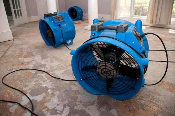 Best Flooded house restoration  in Hemet, CA