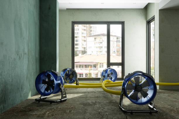 Best Ceiling water damage repair  in Hemet, CA